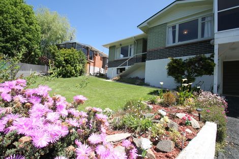 Photo of property in 133 District Road, Green Island, Dunedin, 9018