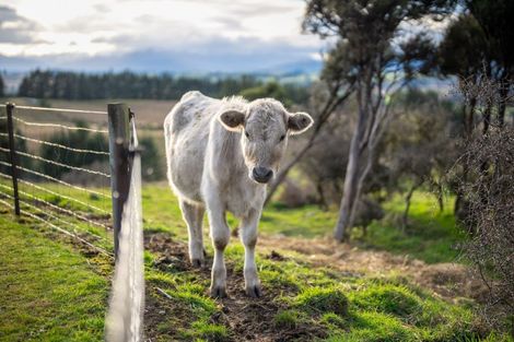 Photo of property in 253c Ramparts Road, Te Anau, 9679