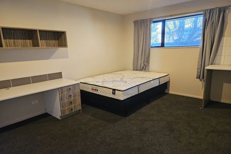 Photo of property in 17 Suffolk Street, Phillipstown, Christchurch, 8011