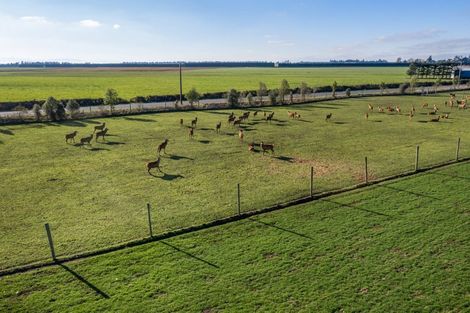 Photo of property in 322 Hatfield Overdale Road, Hatfield, Rakaia, 7784