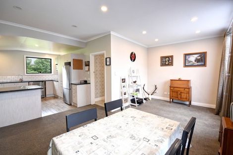 Photo of property in 14 Mountfort Street, Outram, 9019