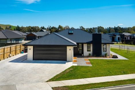 Photo of property in 2 Solomon Place, Witherlea, Blenheim, 7201