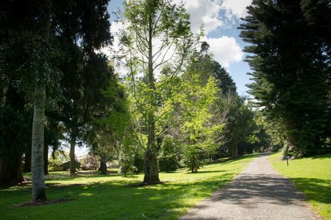 Photo of property in 453 Fraser Street, Parkvale, Tauranga, 3112