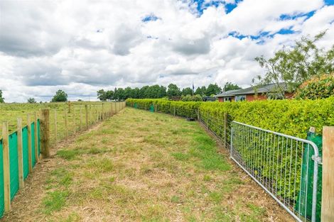 Photo of property in 533 Candy Road, Pokuru, Te Awamutu, 3875