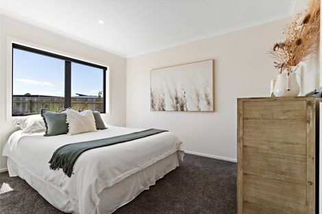 Photo of property in 43 Gimson Street, Solway, Masterton, 5810