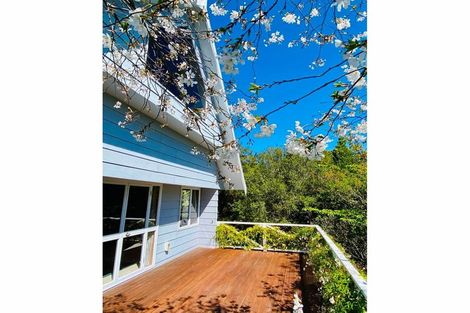 Photo of property in 121 Clyde Road, Wairoa, 4108