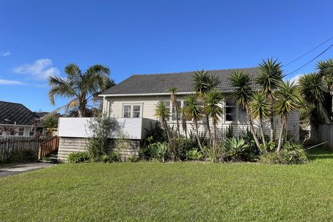 Photo of property in 17 Blacklock Avenue, Henderson, Auckland, 0612