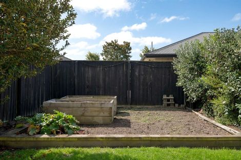 Photo of property in 6 Ross Place, Northwood, Christchurch, 8051