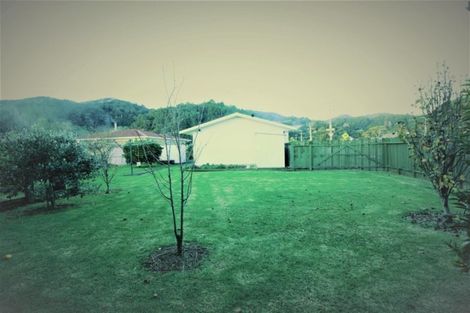 Photo of property in 300 Ensor Street, Thames, 3500