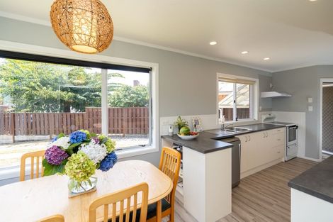 Photo of property in 21 Larnach Street, St Andrews, Hamilton, 3200