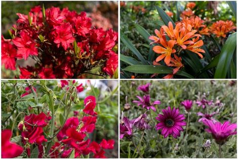 Photo of property in 8 Ward Street, Springlands, Blenheim, 7201