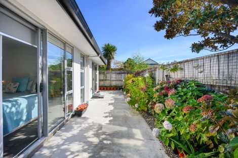 Photo of property in 65b Albert Street, Palmerston North, 4414