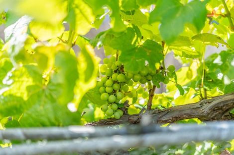 Photo of property in 36 Tilbury Street, Fairfield, Lower Hutt, 5011