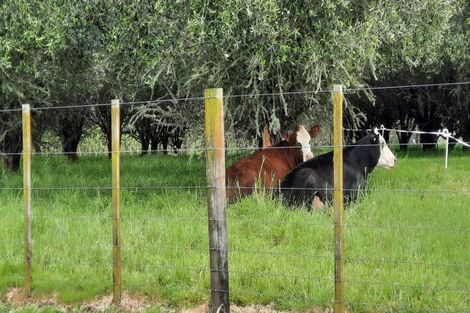 Photo of property in 9 Meadow Lane, Pakaraka, Kaikohe, 0472