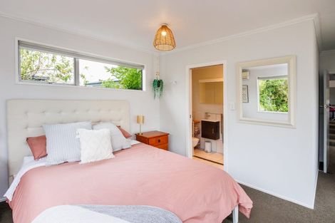 Photo of property in 386 Ruahine Street, Terrace End, Palmerston North, 4410