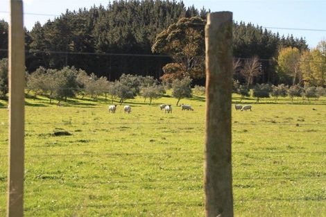 Photo of property in 62 Delhi Avenue, Aramoho, Whanganui, 4500