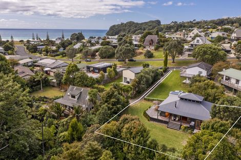 Photo of property in 113 Onemana Drive, Onemana, Whangamata, 3691