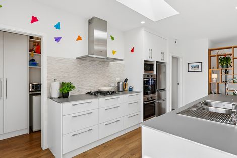 Photo of property in 3 Rotary Park Close, Shiel Hill, Dunedin, 9013