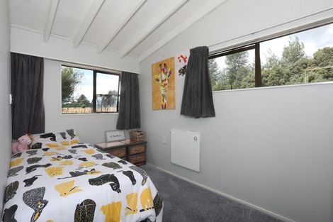 Photo of property in 6 Nixs Road, Apiti, Kimbolton, 4774