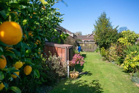 Photo of property in 22 Weka Street, Matamata, 3400