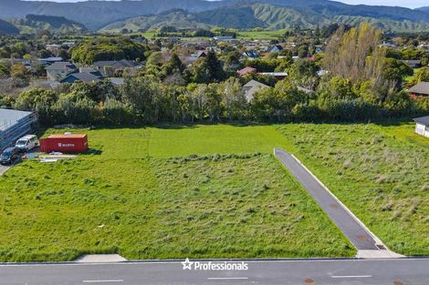 Photo of property in 13 Te Awahohonu Lane, Otaki, 5512
