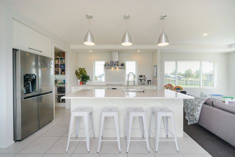 Photo of property in 60 Wapiti Avenue, Feilding, 4775