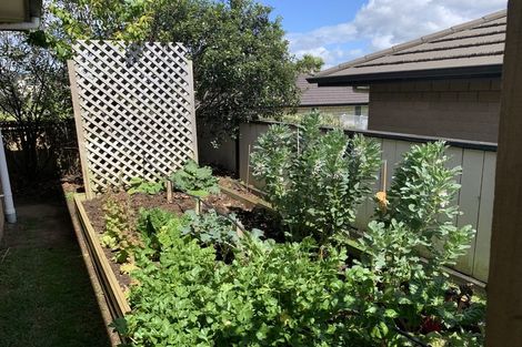 Photo of property in 16 Ocean View Rise, Ruakaka, 0116