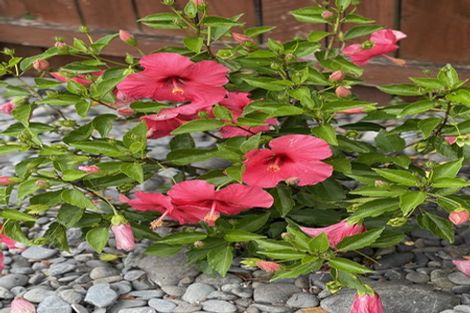 Photo of property in 105 Point Wells Road, Point Wells, Warkworth, 0986