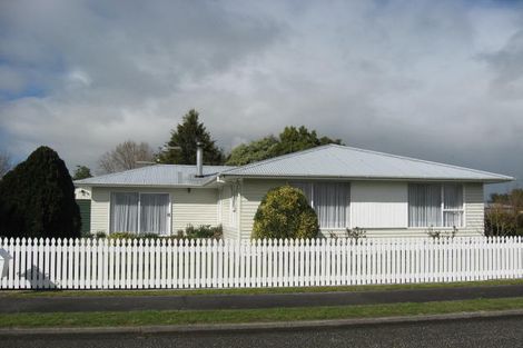 Photo of property in 41 Daniell Street, Solway, Masterton, 5810