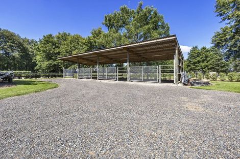 Photo of property in 396a Bruntwood Road, Matangi, Cambridge, 3493