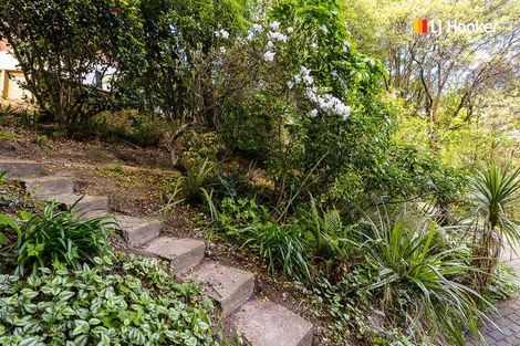 Photo of property in 43 Sunbury Street, Andersons Bay, Dunedin, 9013