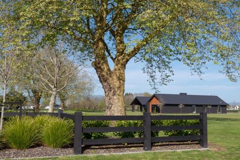 Photo of property in 7 Orchard Place, Matamata, 3472