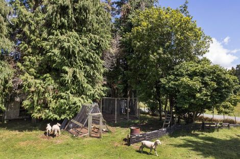 Photo of property in 417 Hot Springs Road, Tahawai, Katikati, 3178