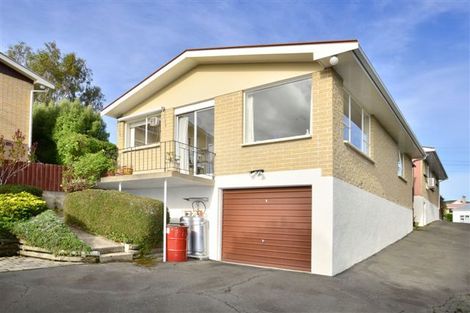 Photo of property in 17a Signal Hill Road, Opoho, Dunedin, 9010
