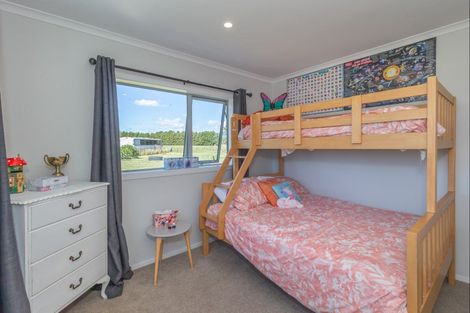 Photo of property in 213b Muhunoa East Road, Ohau, Levin, 5570