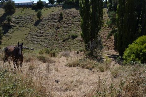 Photo of property in 36 Burtts Road, Durie Hill, Whanganui, 4500