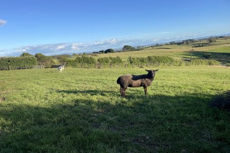 Photo of property in 101a Logan Road, Pukekawa, Tuakau, 2696