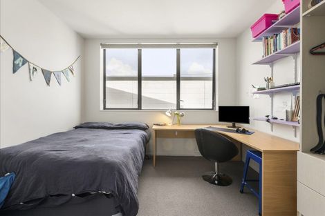 Photo of property in Aniva Terrace, 12 Arney Street, Newtown, Wellington, 6021