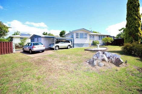 Photo of property in 133 Riverpark Crescent, Henderson, Auckland, 0610