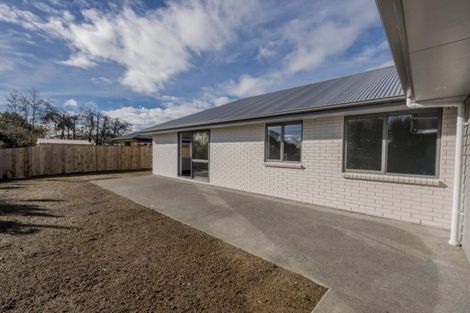 Photo of property in 25 Barry Curtis Place, Levin, 5510