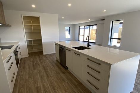 Photo of property in 155 Shillingford Boulevard, Rolleston, 7615