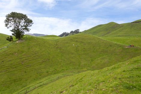 Photo of property in 1901 Tutukau Road, Ohakuri, Reporoa, 3083
