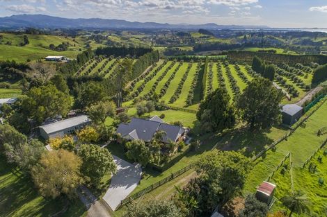 Photo of property in 63d Lowe Road, Whakamarama, Tauranga, 3180