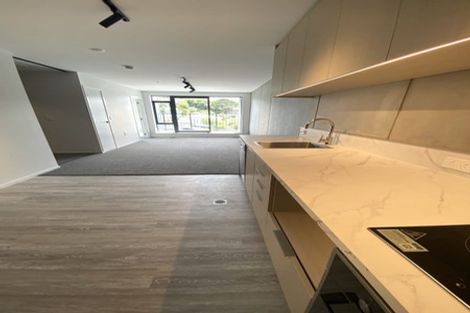 Photo of property in 517/21 King Street, Mount Cook, Wellington, 6021