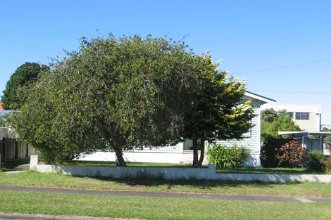 Photo of property in 57 Brandon Road, Glen Eden, Auckland, 0602