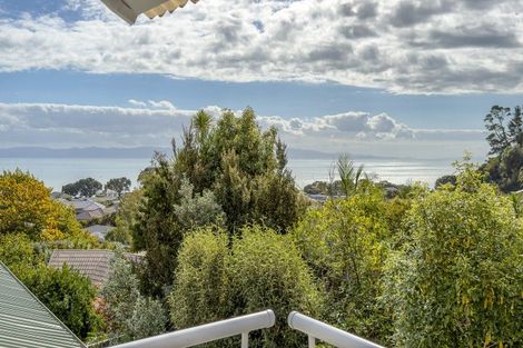 Photo of property in 111 Victoria Street, Thames, 3500