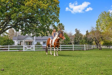 Photo of property in 84 Kaipara Flats Road, Dome Forest, Warkworth, 0981