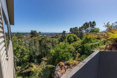 Photo of property in 50 Milton Road, Greymouth, 7805