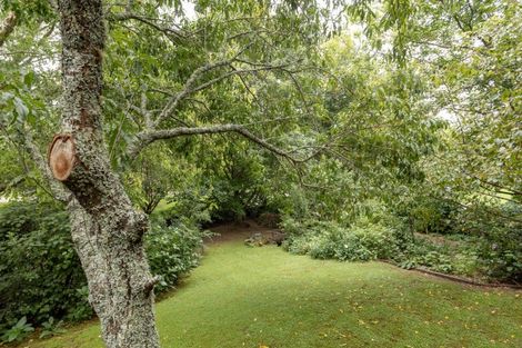 Photo of property in 20 Emmerdale Place, Ohauiti, Tauranga, 3112