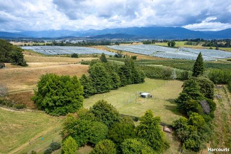 Photo of property in 146 Eden Road, Tasman, Upper Moutere, 7175